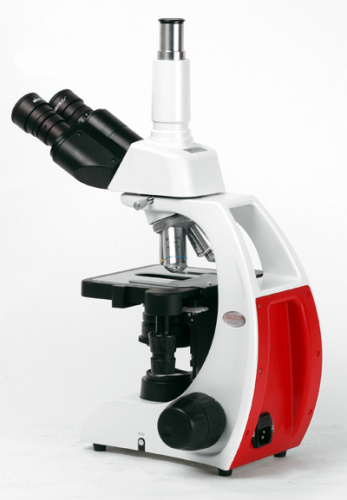 872d1f37-cf36-11ef-9d2e-000c29e1040d